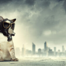 Call Of Duty: Ghosts